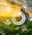 Infraestrutura de TI e tecnologia aplicada ao agronegócio