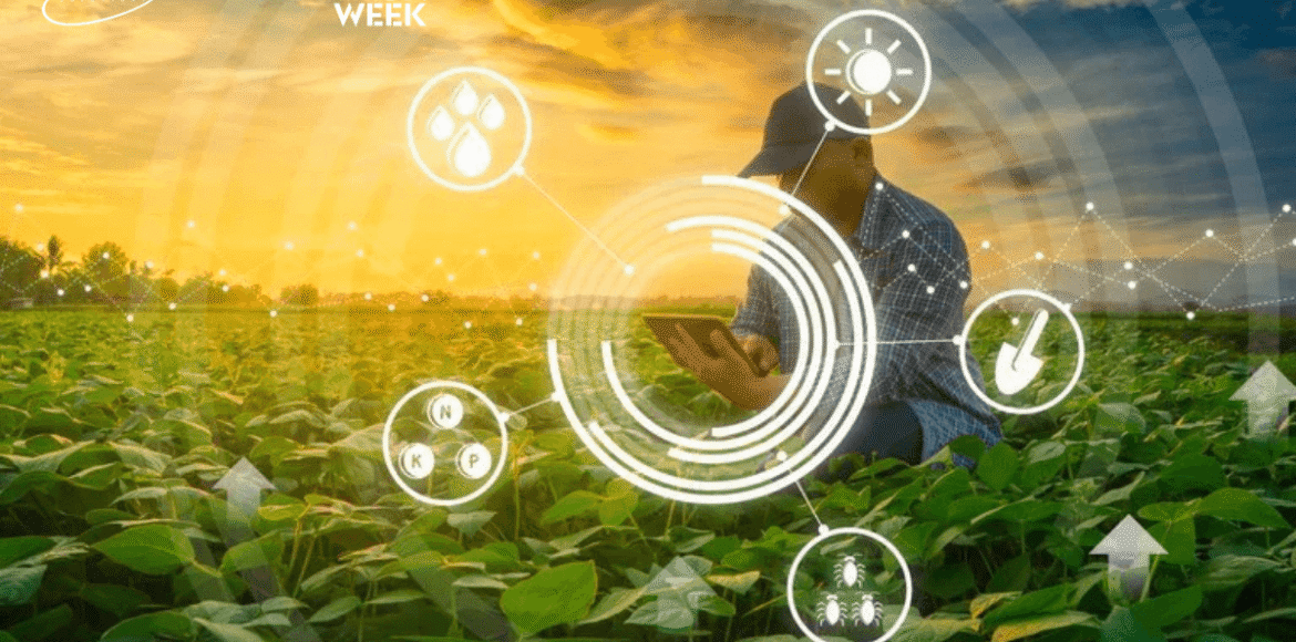 Infraestrutura de TI e tecnologia aplicada ao agronegócio