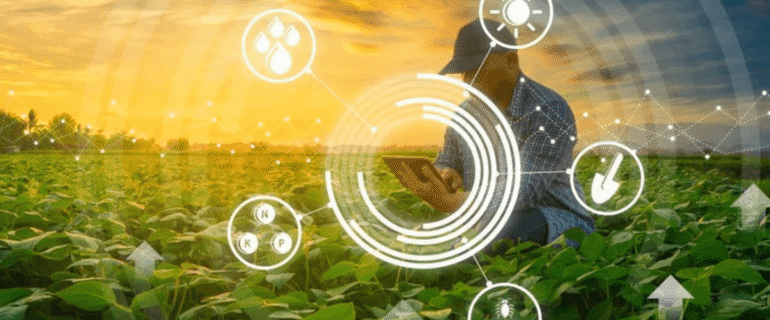 Infraestrutura de TI e tecnologia aplicada ao agronegócio